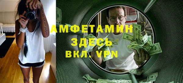 шишки Богородицк