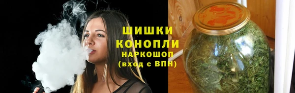 шишки Богородицк