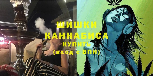 шишки Богородицк